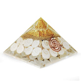 Original Gomti Chakra Pyramid for Money and Prosperity
