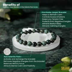 Natural Kambaba Jasper Bracelet with Raw Selenite Plate