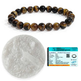Tiger Eye Bracelet Original Certified with Selenite Plate