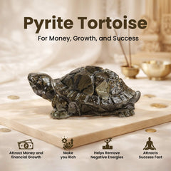 Natural Pyrite Tortoise (Kachhua) for Money, Vastu & Feng Shui